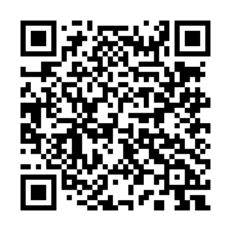 QR code for 100LDD