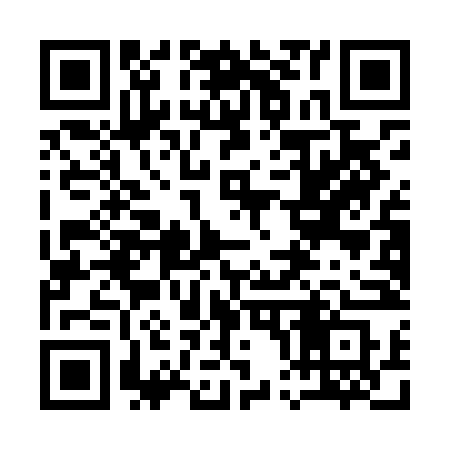 QR code for 101LNS