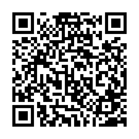 QR code for 111MPV