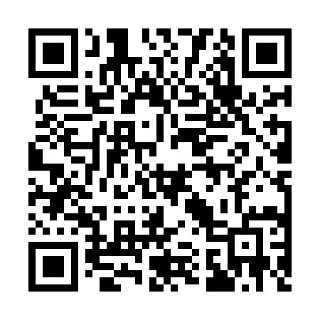 QR code for 113MIE