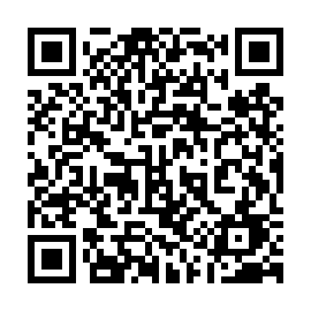 QR code for 119DSD