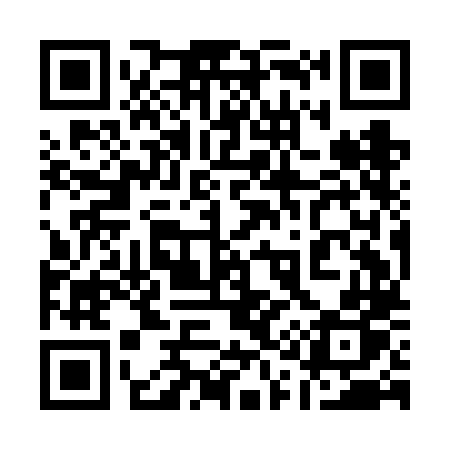 QR code for 119FLP