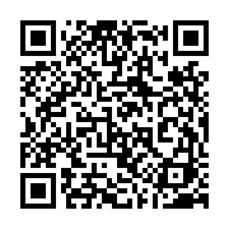 QR code for 119LVI