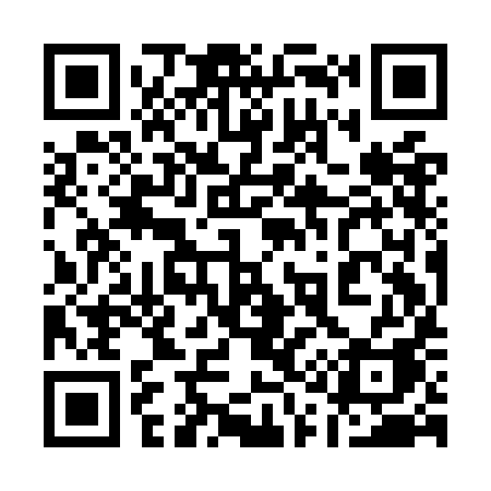 QR code for 119OIA
