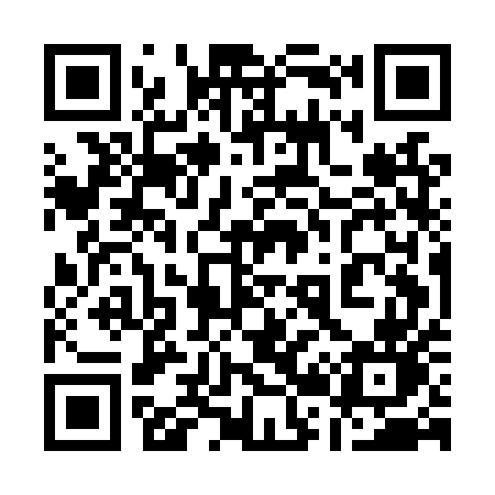 QR code for 125LUN