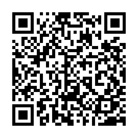 QR code for 133MIP