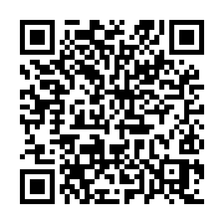 QR code for 141MIS