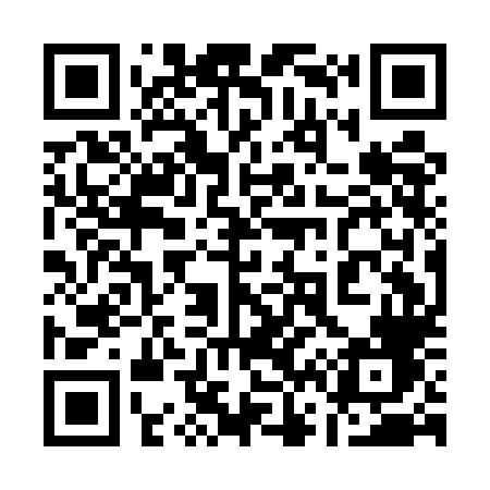 QR code for 161ELF