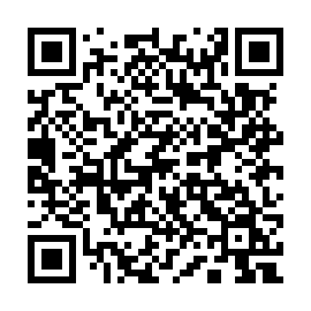 QR code for 161MZN