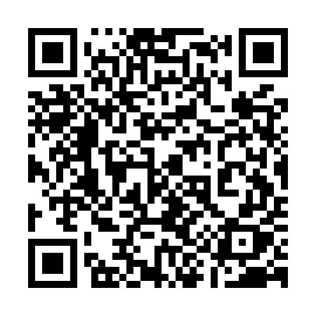 QR code for 193MUX