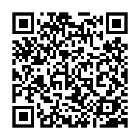 QR code for 196DSH