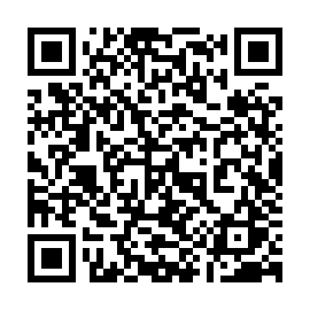 QR code for 196XZS