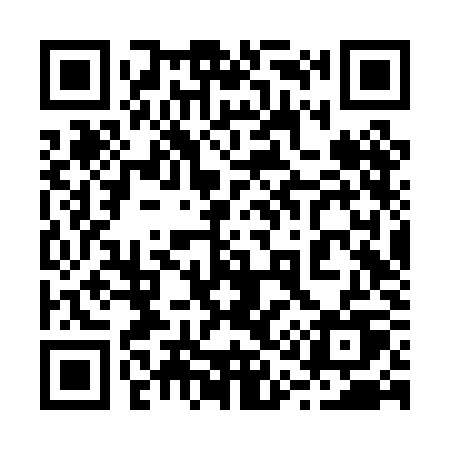 QR code for 216PKU
