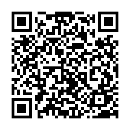 QR code for 217LUT