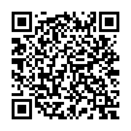 QR code for 220WSI