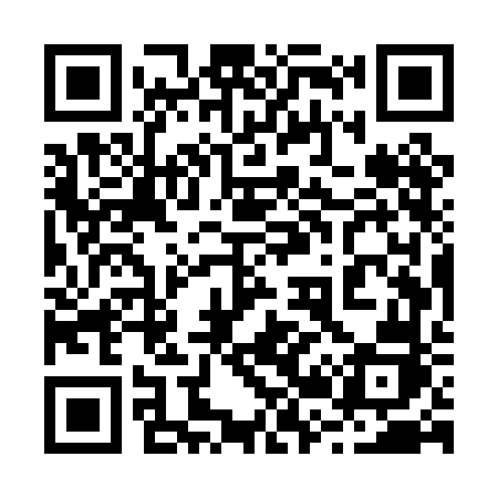 QR code for 225PFJ