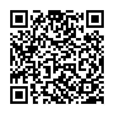 QR code for 225PQP