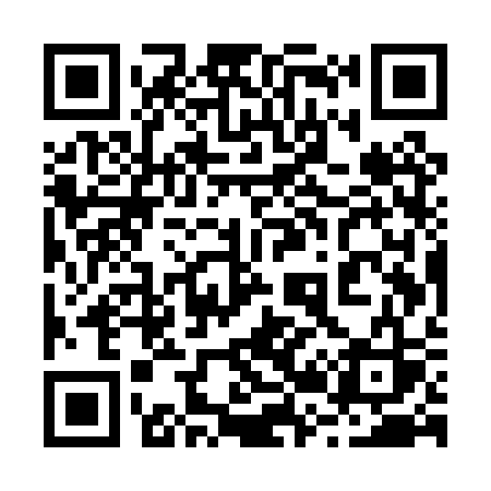 QR code for 225PSS