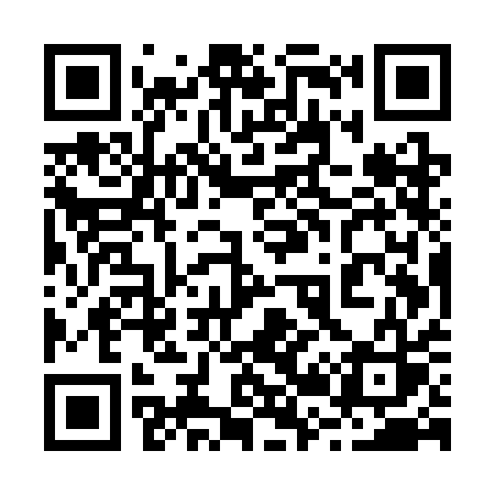QR code for 225SAS