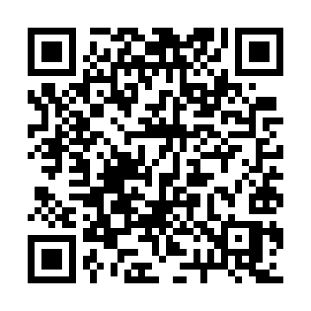 QR code for 225WYS