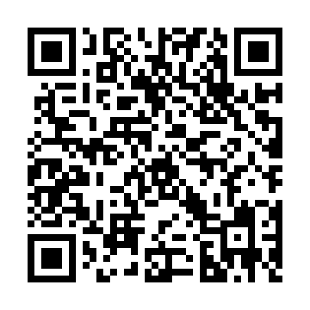 QR code for 228IZI