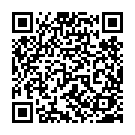 QR code for 228TOK