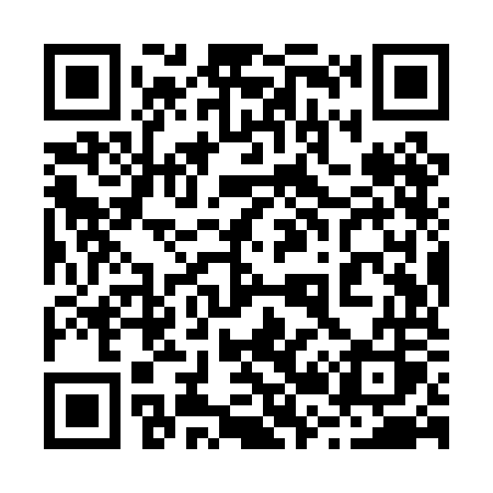 QR code for 229POS