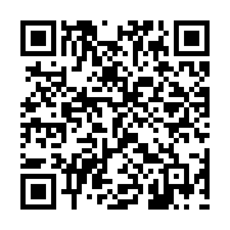 QR code for 229SMD