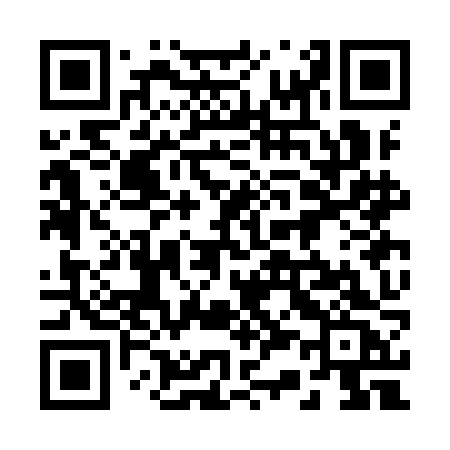 QR code for 233IJC