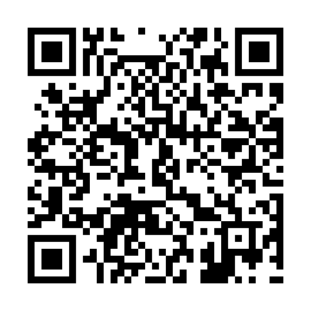 QR code for 234PPV