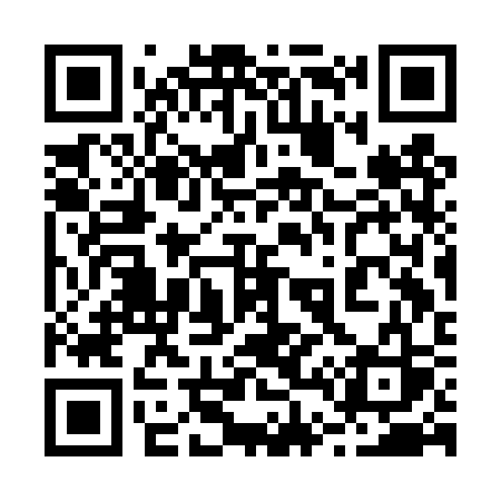 QR code for 243DSS