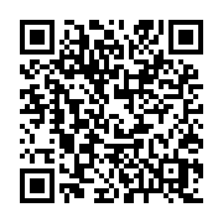QR code for 245IDT