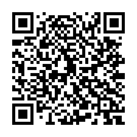 QR code for 250TTC
