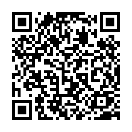 QR code for 251PKU