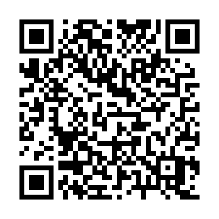 QR code for 256LPT
