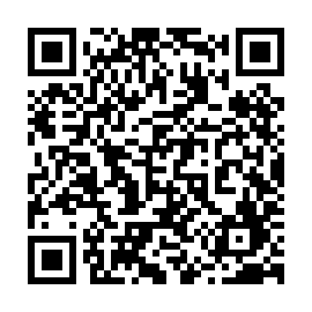 QR code for 256PIF