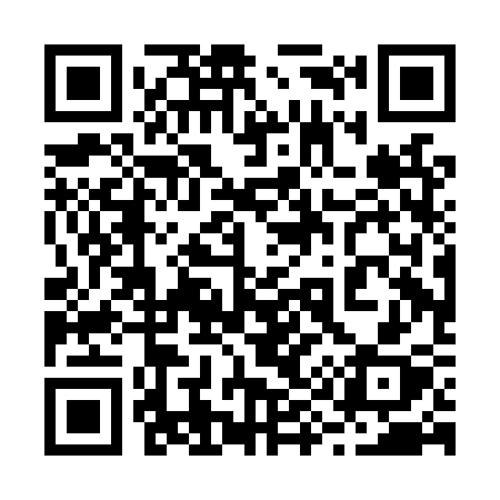 QR code for 290LSX