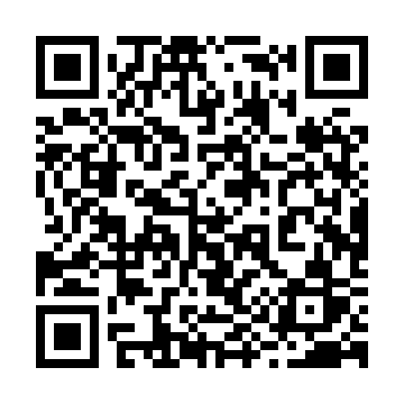 QR code for 290XSR