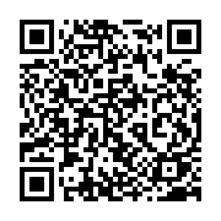 QR code for 291IAU