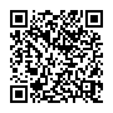 QR code for 291INR