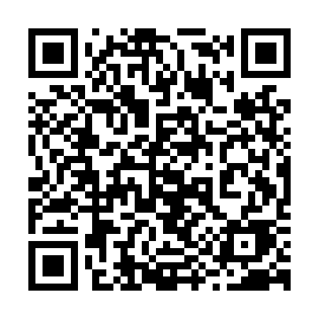 QR code for 291LSE