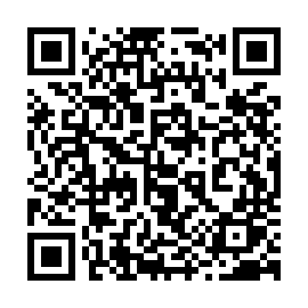 QR code for 291MNP