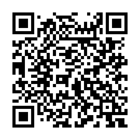 QR code for 291OFI