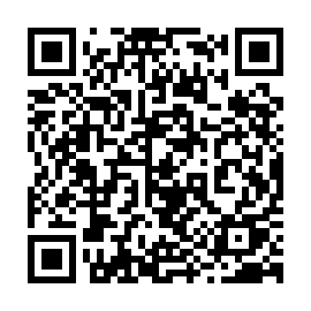 QR code for 291QAU