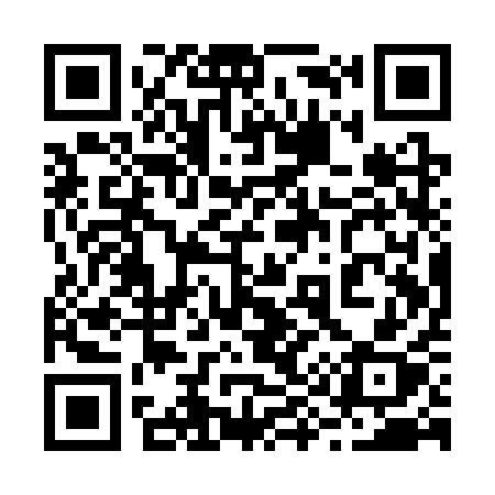 QR code for 291SQX