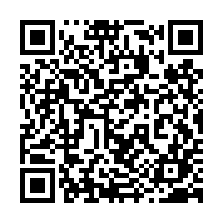 QR code for 293DPL