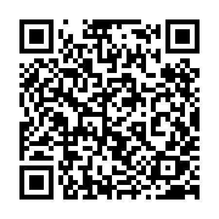 QR code for 293PHX