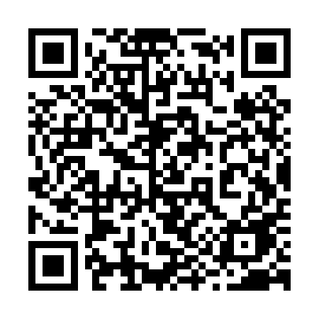 QR code for 293PPE