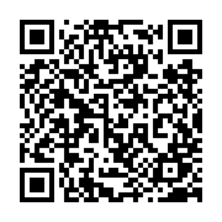 QR code for 293WMT