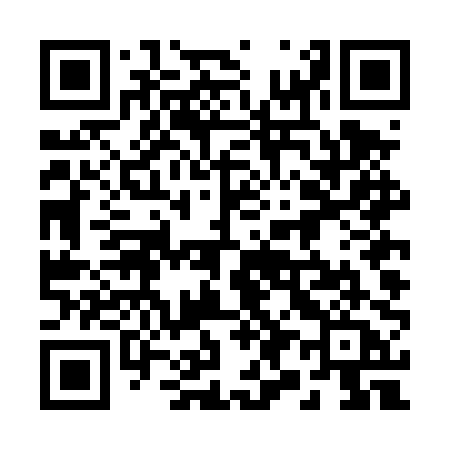 QR code for 294DPA